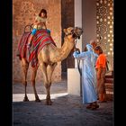 Camel Ride