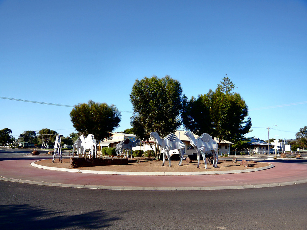 Camel Roundabout