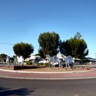 Camel Roundabout