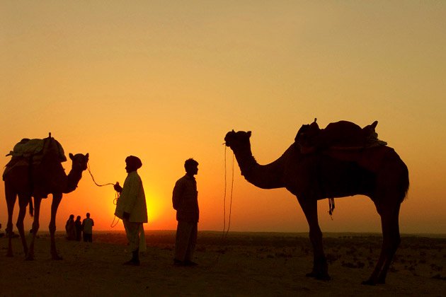 Camel safari Rajasthan