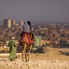 CAMEL TREKKING