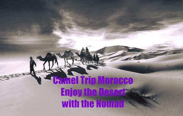   Camel Trekking & Night in Desert Erg Chebbi Merzouga Morocco