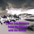   Camel Trekking & Night in Desert Erg Chebbi Merzouga Morocco
