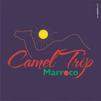 Camel Trip Morocco