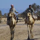 Camel Trophy