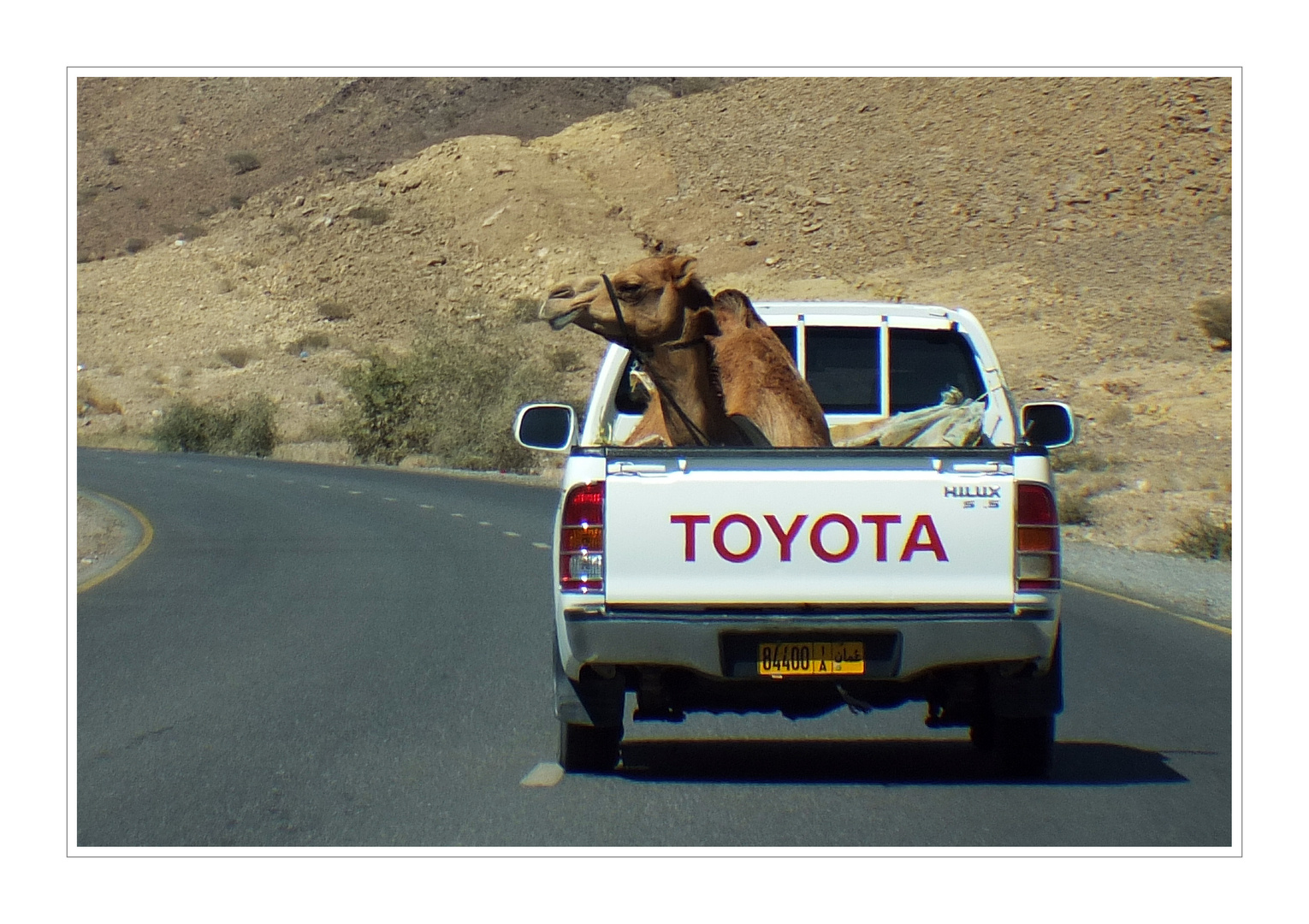 Camel Trophy