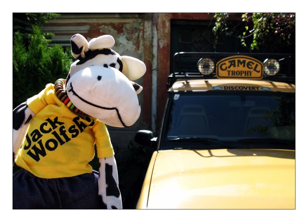 Camel Trophy