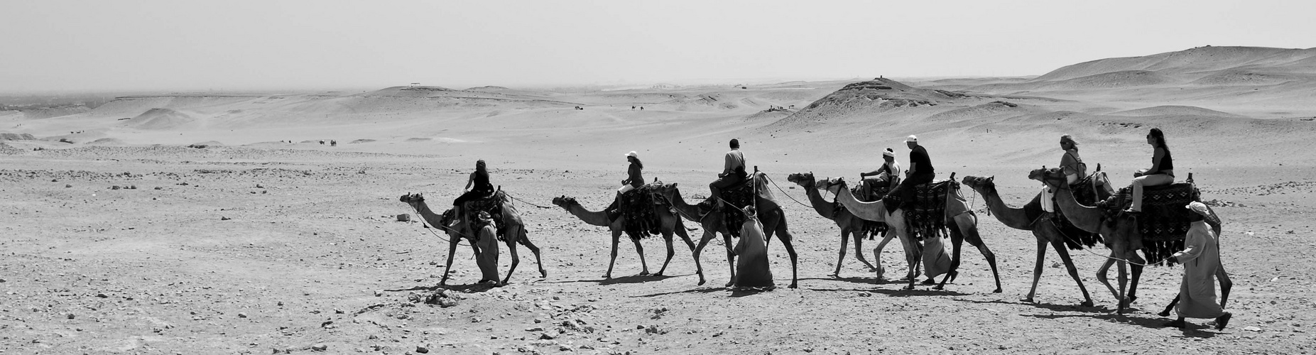 Camel Trophy...