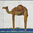 "Camelabenteuer"