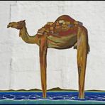 "Camelabenteuer"