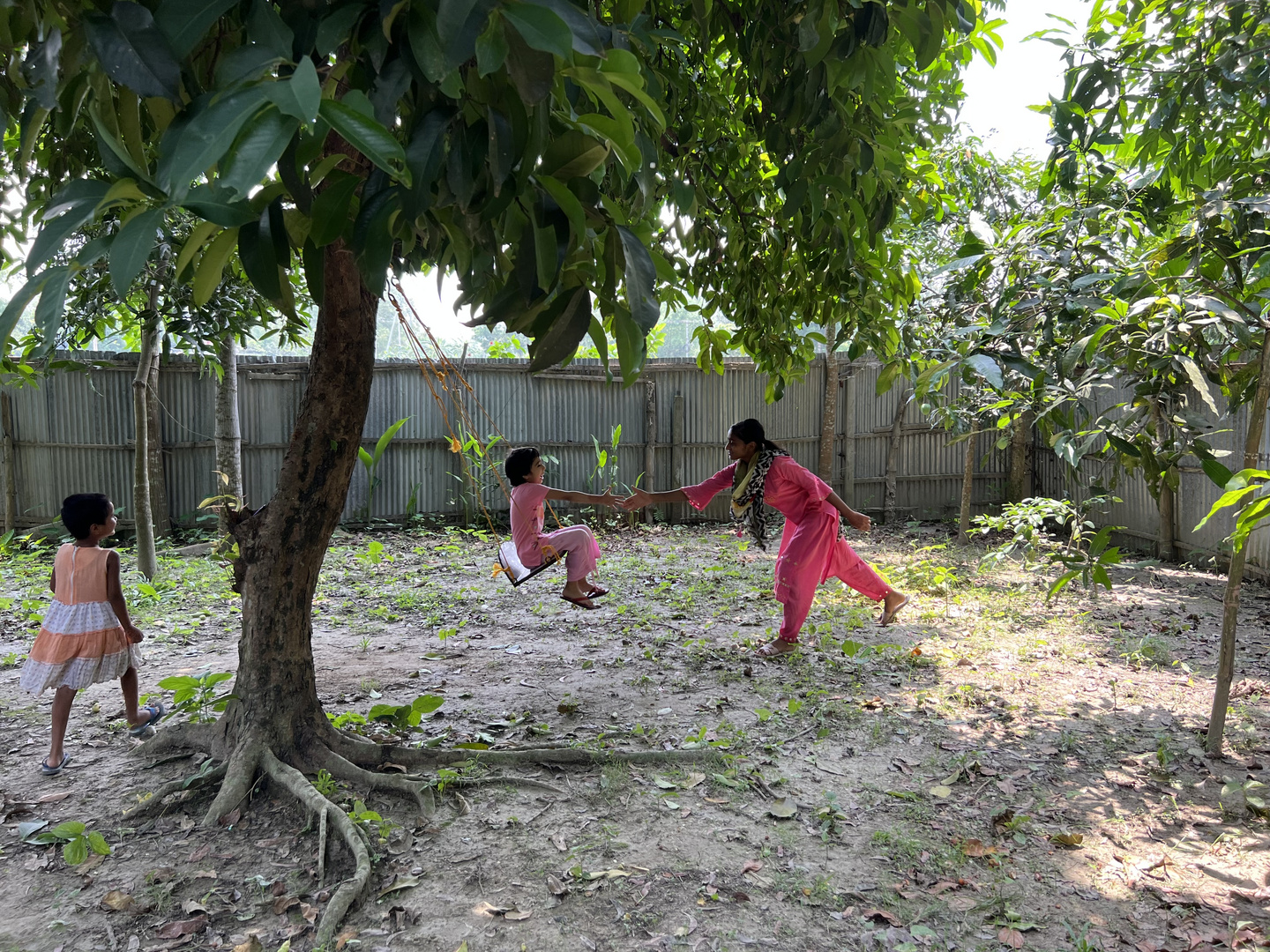 Camelia playing under the tree 