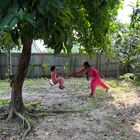 Camelia playing under the tree 