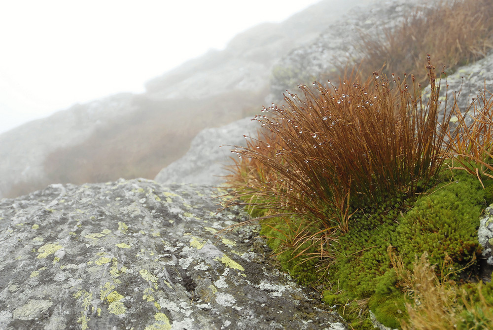 Camel's Hump summit, Vermont (3)