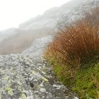 Camel's Hump summit, Vermont (3)