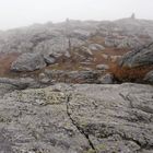 Camel's Hump summit, Vermont