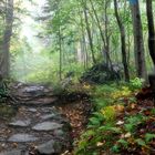 Camel's Hump, Vermont