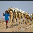 Camels on tour (Part II)