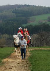 camelsafari in the black forest