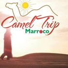 Cameltripmorocco