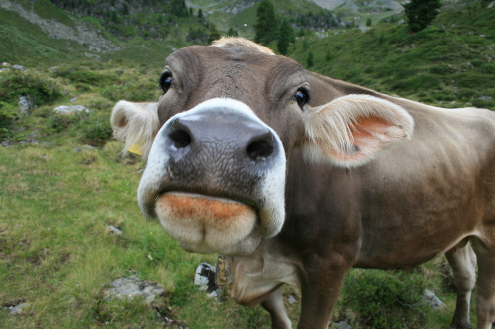 Camera weg, sonst is sie weg !