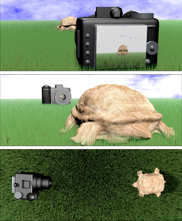 camera with turtle