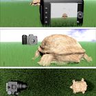 camera with turtle