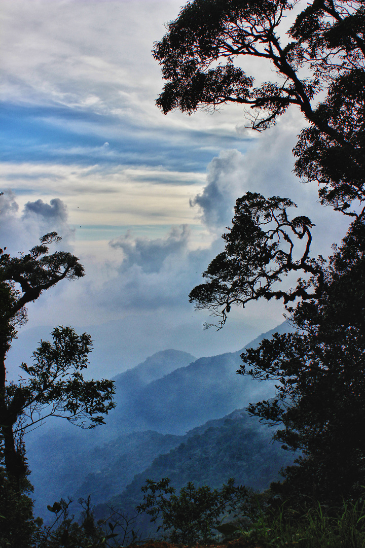 Cameron Highlands