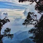 Cameron Highlands