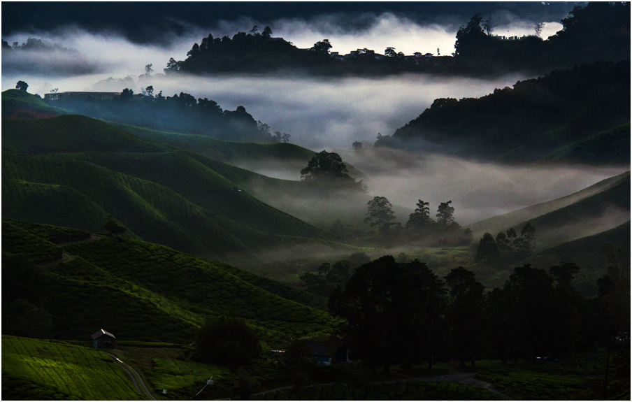 Cameron Highlands