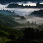 Cameron Highlands