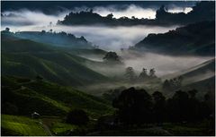 Cameron Highlands