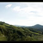 Cameron Highlands I