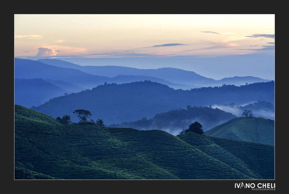 Cameron Highlands Sunrise