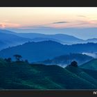 Cameron Highlands Sunrise