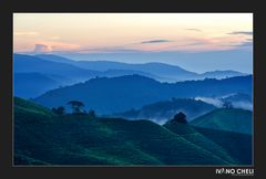 Cameron Highlands Sunrise