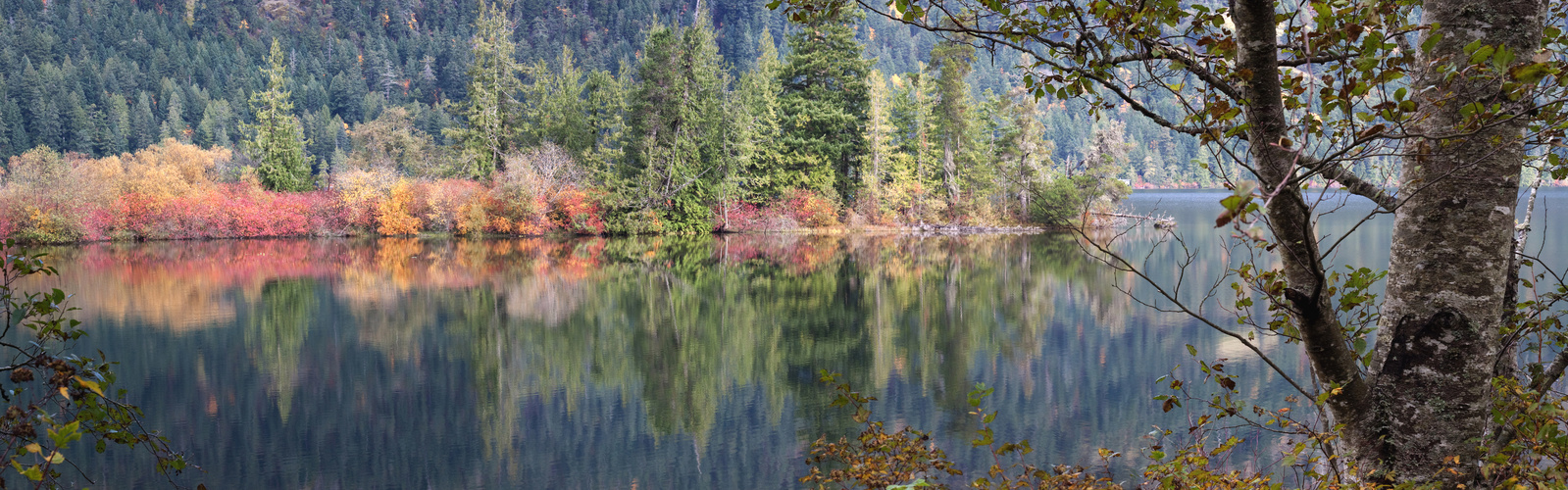 cameron lake