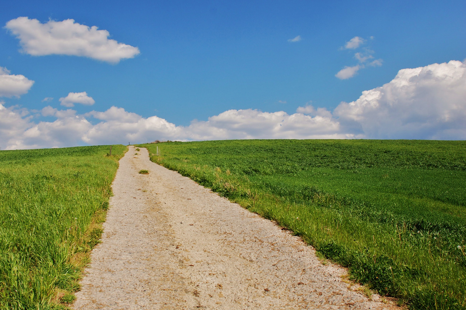 CAMI CAP AL CEL. CAMINO HACIA EL CIELO. PATH TO THE SKY