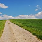 CAMI CAP AL CEL. CAMINO HACIA EL CIELO. PATH TO THE SKY