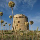 Cami de Cavalls, Menorca