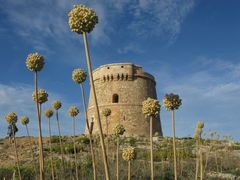 Cami de Cavalls, Menorca