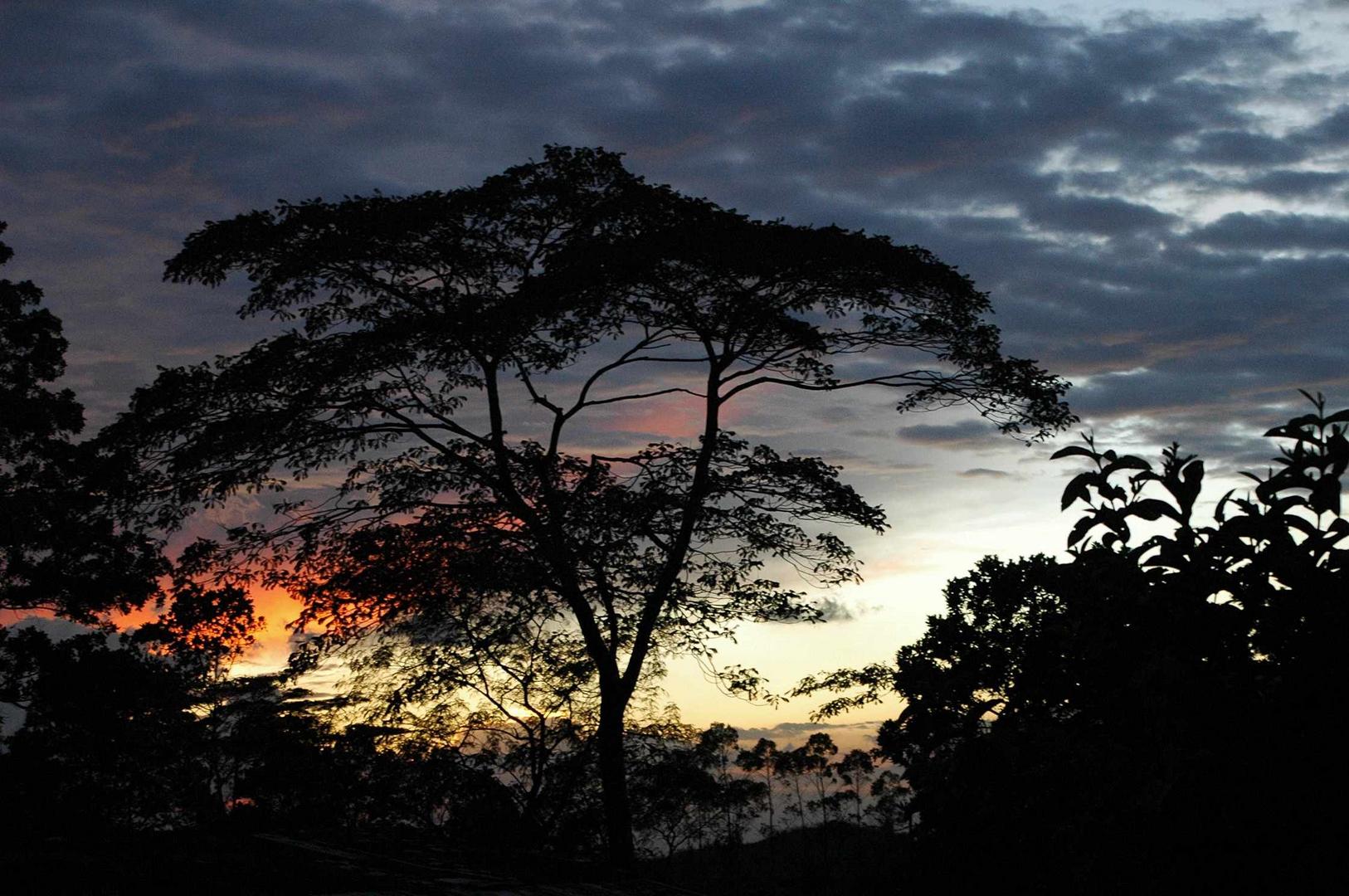 Camiguin