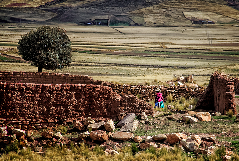 CAMINANDO ENTRE RUINAS 