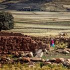 CAMINANDO ENTRE RUINAS 