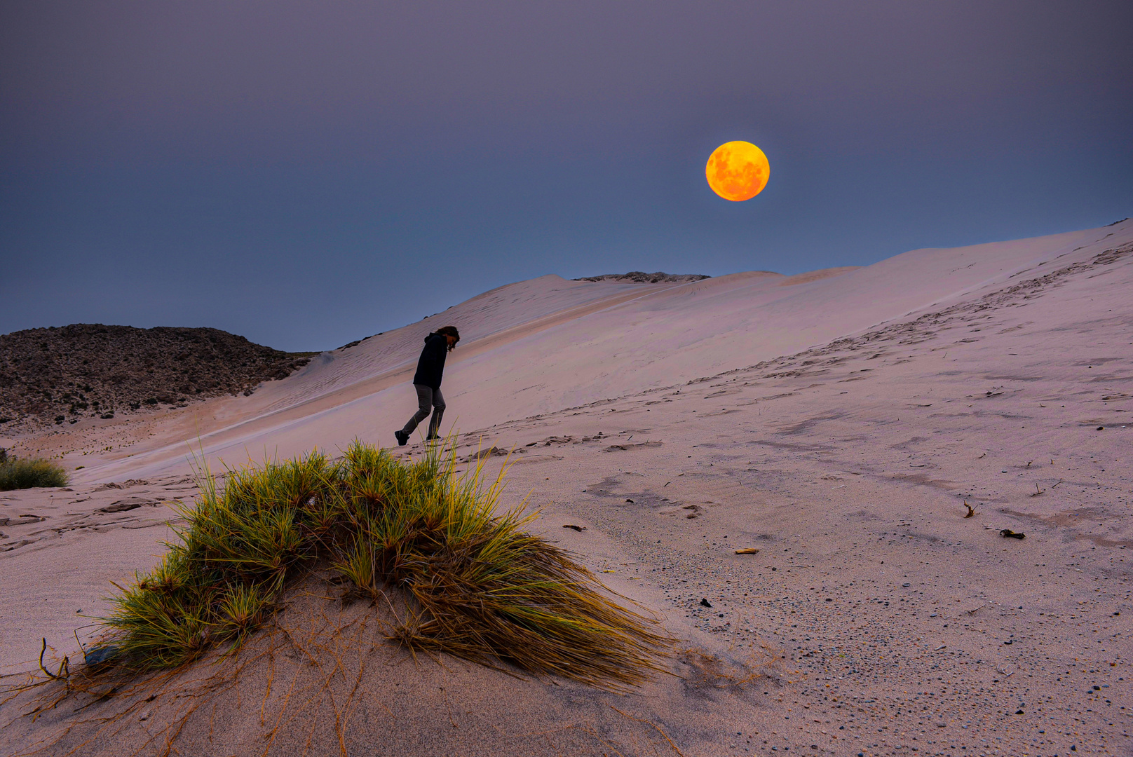 Caminando hacia la luna