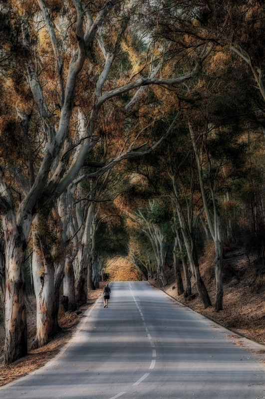 Caminando hacia la vida