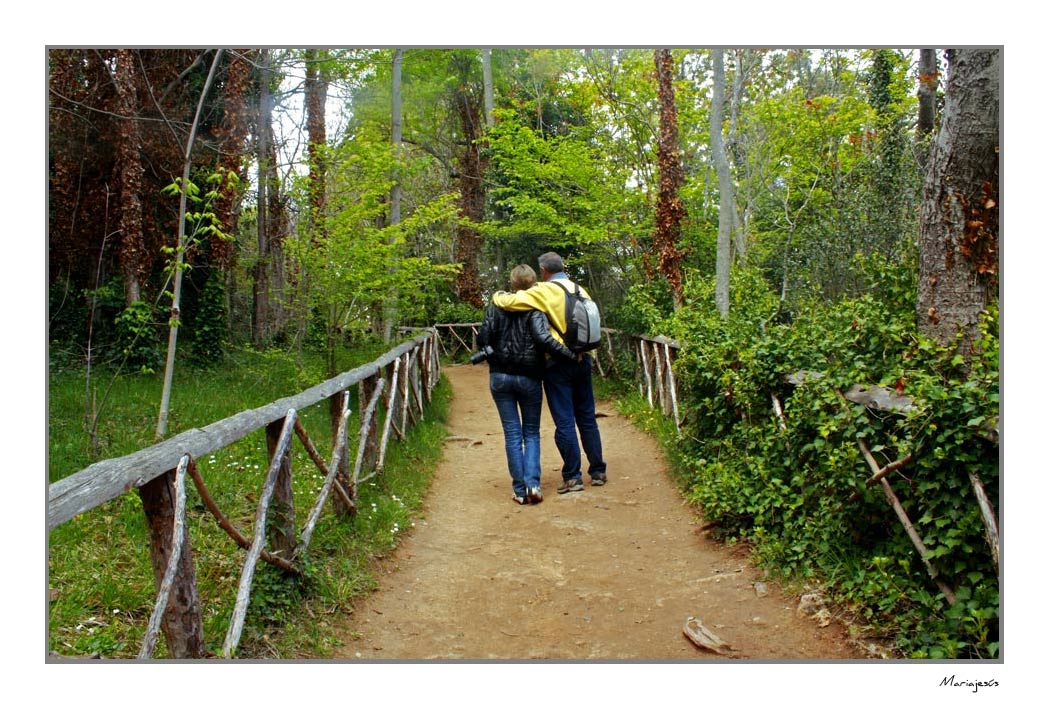 Caminando juntos