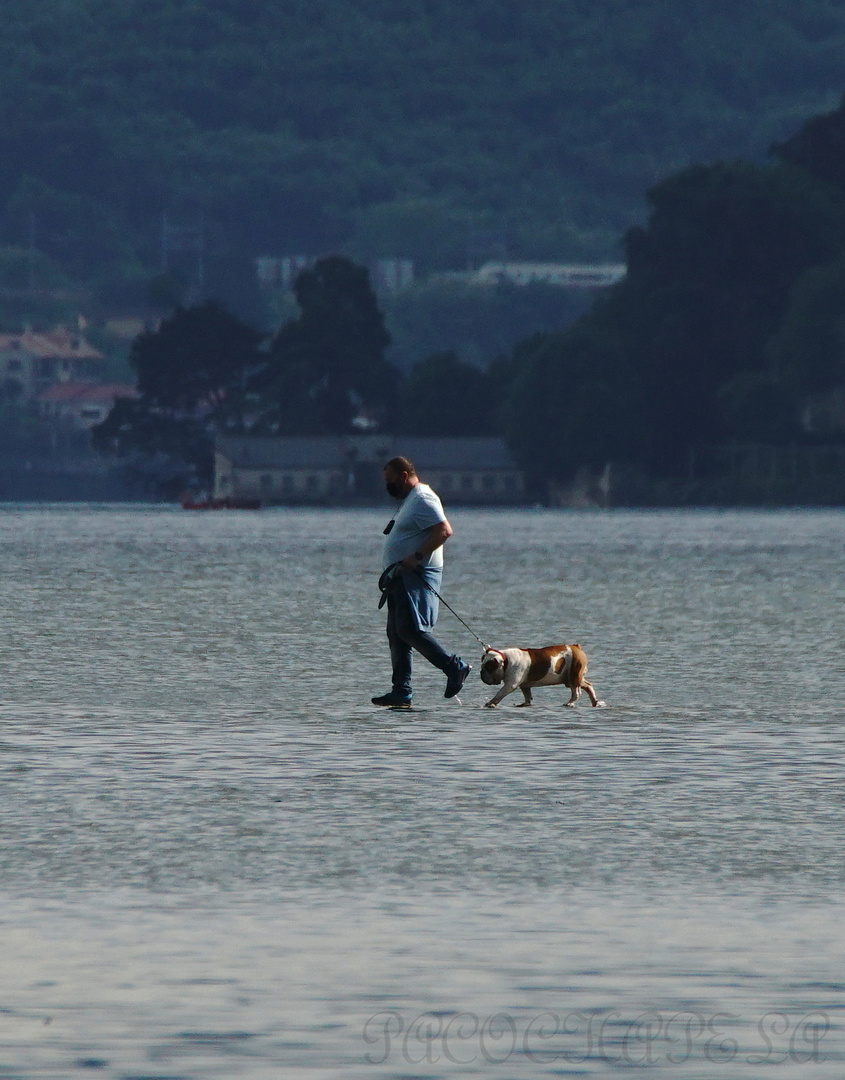 Caminando sobre las aguas