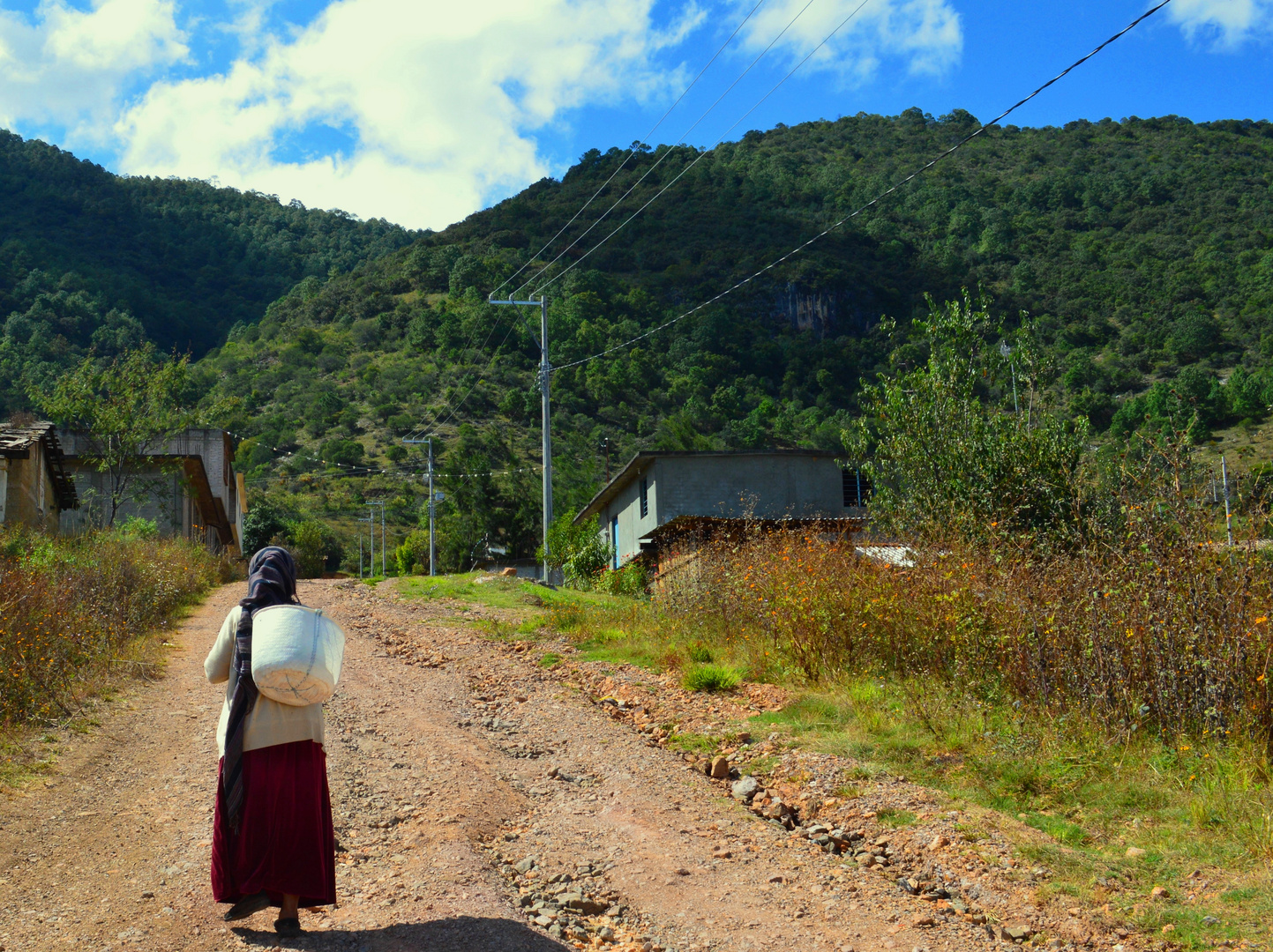 Caminante