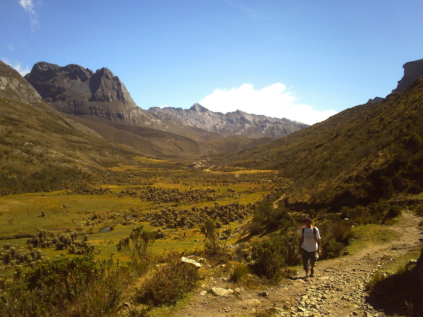 Caminante