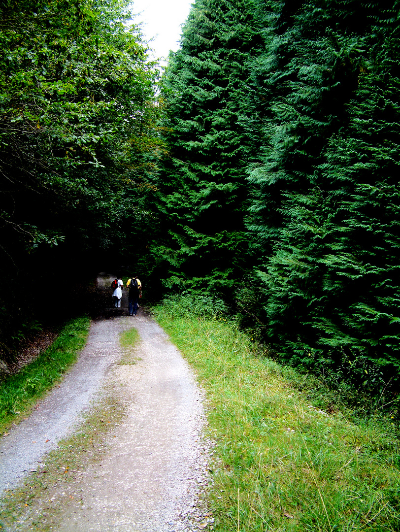 Caminante no hay camino...